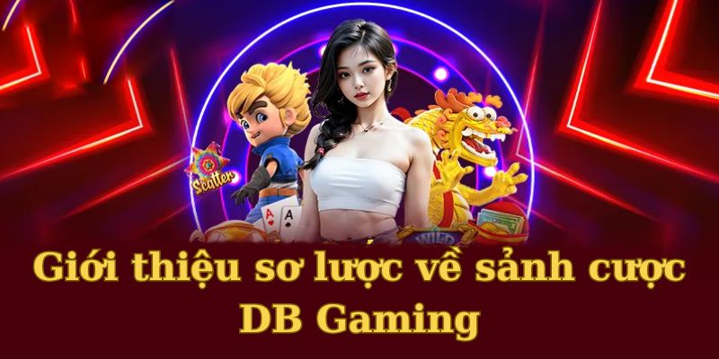 Giới thiệu sơ lược về sảnh cược DB Gaming