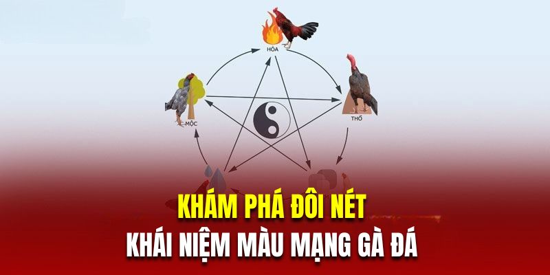 Khám phá đôi nét về khái niệm màu mạng gà đá 