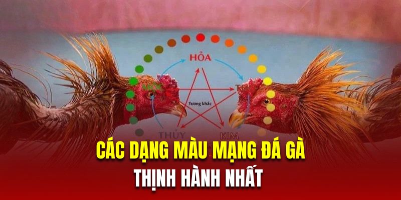 Các dạng màu mạng đá gà thịnh hành nhất 